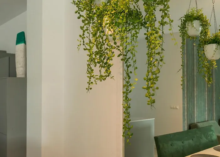 Hotspot, Near Center And Park