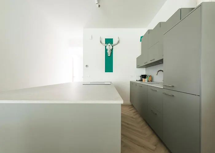 Hotspot, Near Center And Park Roosendaal