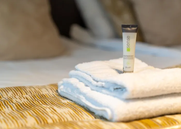 Hotspot, Near Center And Park * Roosendaal