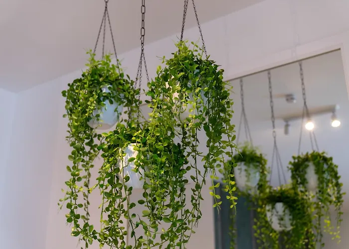 Hotspot, Near Center And Park