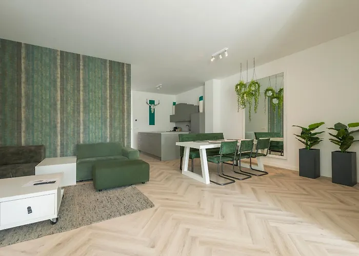 Hotspot, Near Center And Park Roosendaal