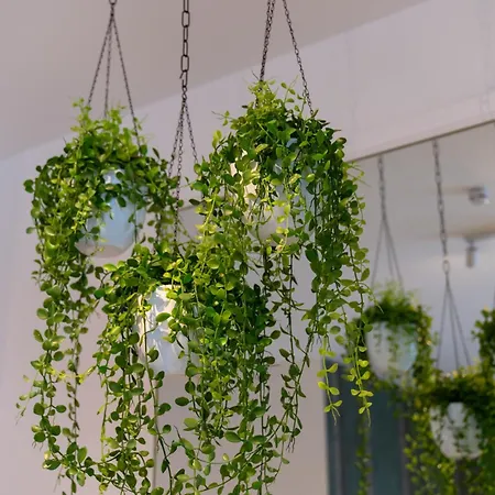 Hotspot, Near Center And Park